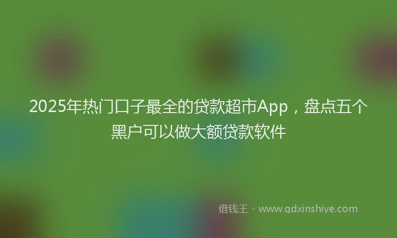 2025年热门口子最全的贷款超市App，盘点五个黑户可以做大额贷款软件