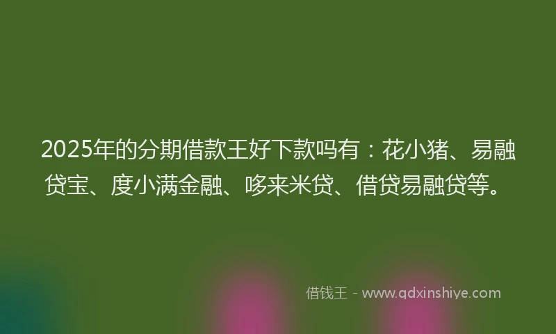 2025年的分期借款王好下款吗有：花小猪、易融贷宝、度小满金融、哆来米贷、借贷易融贷等。