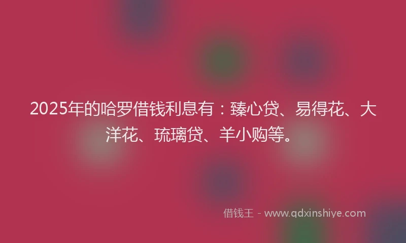 2025年的哈罗借钱利息有：臻心贷、易得花、大洋花、琉璃贷、羊小购等。