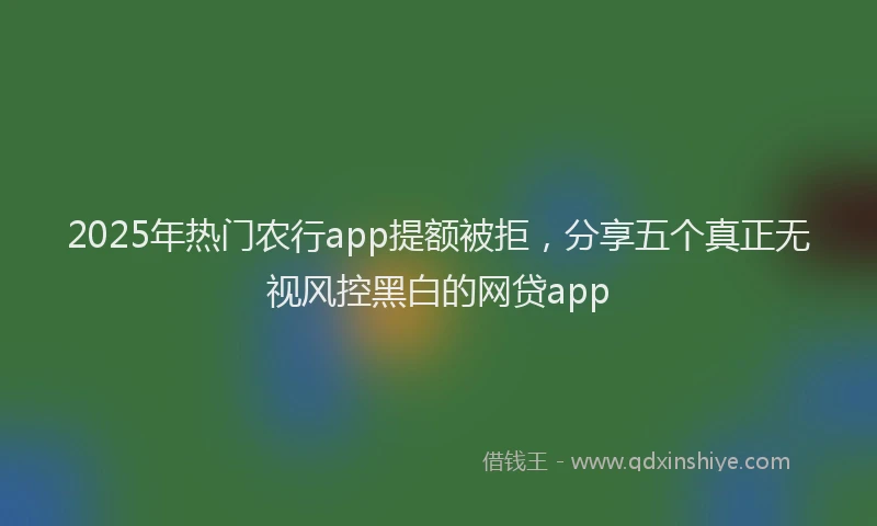 2025年热门农行app提额被拒，分享五个真正无视风控黑白的网贷app