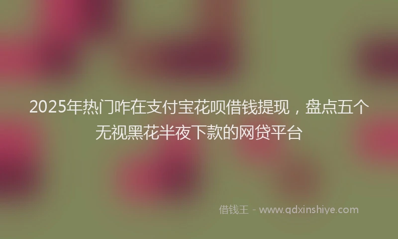 2025年热门咋在支付宝花呗借钱提现，盘点五个无视黑花半夜下款的网贷平台