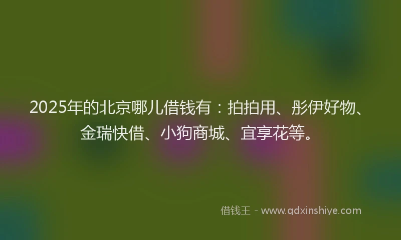 2025年的北京哪儿借钱有：拍拍用、彤伊好物、金瑞快借、小狗商城、宜享花等。