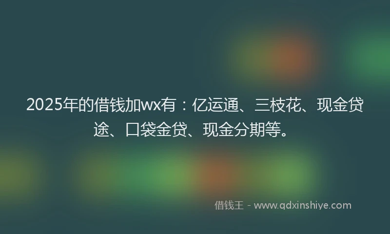2025年的借钱加wx有：亿运通、三枝花、现金贷途、口袋金贷、现金分期等。