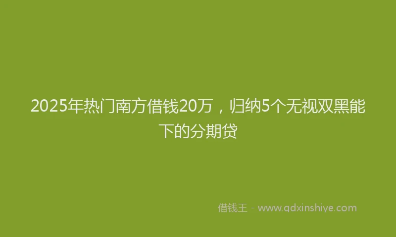 2025年热门南方借钱20万，归纳5个无视双黑能下的分期贷