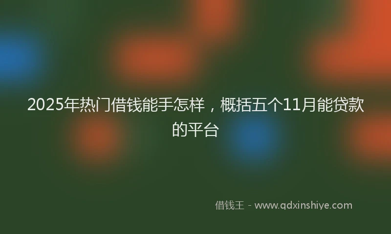 2025年热门借钱能手怎样，概括五个11月能贷款的平台