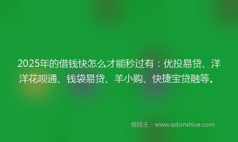 2025年的借钱快怎么才能秒过有：优投易贷、洋洋花呗通、钱袋易贷、羊小购、快捷宝贷融等。