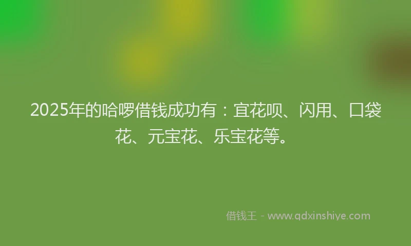 2025年的哈啰借钱成功有：宜花呗、闪用、口袋花、元宝花、乐宝花等。