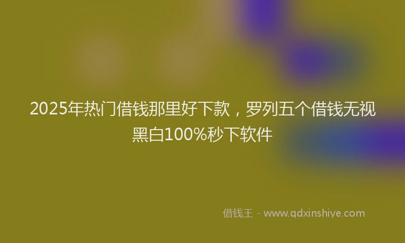 2025年热门借钱那里好下款，罗列五个借钱无视黑白100%秒下软件