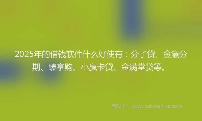 2025年的借钱软件什么好使有：分子贷、金瀛分期、臻享购、小赢卡贷、金满堂贷等。