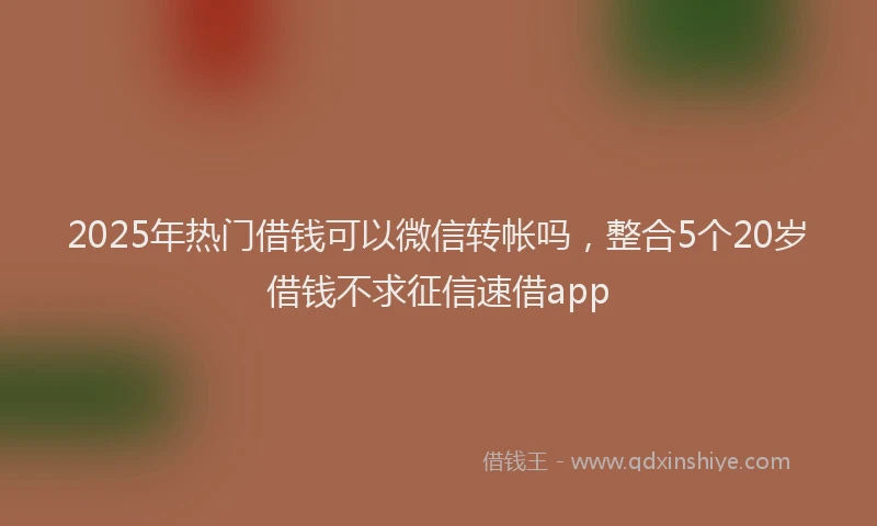 2025年热门借钱可以微信转帐吗，整合5个20岁借钱不求征信速借app