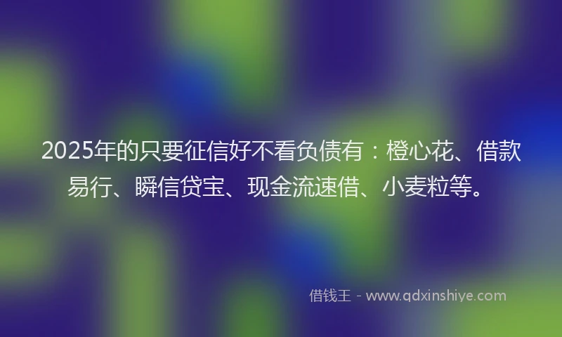 2025年的只要征信好不看负债有：橙心花、借款易行、瞬信贷宝、现金流速借、小麦粒等。