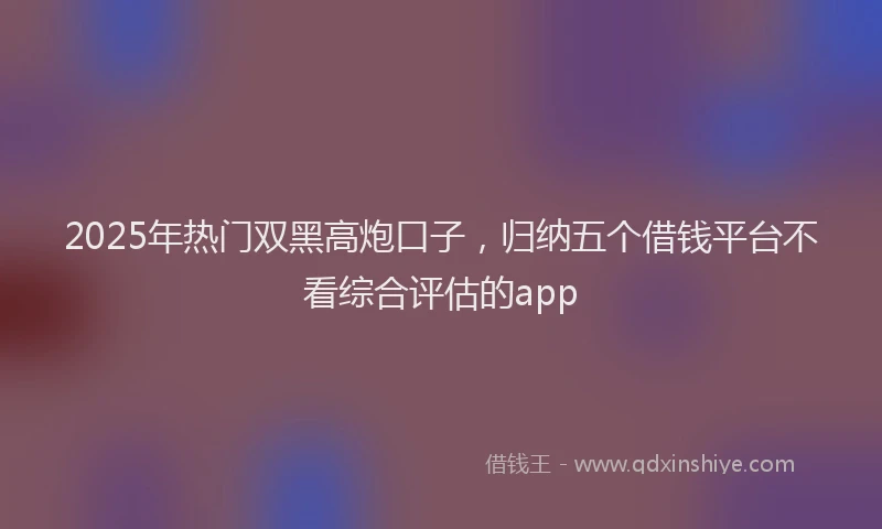 2025年热门双黑高炮口子，归纳五个借钱平台不看综合评估的app