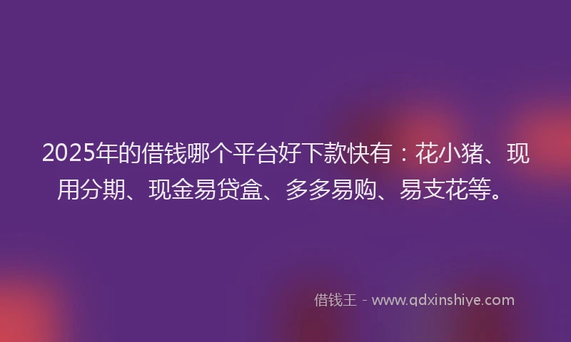 2025年的借钱哪个平台好下款快有：花小猪、现用分期、现金易贷盒、多多易购、易支花等。