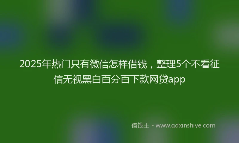 2025年热门只有微信怎样借钱，整理5个不看征信无视黑白百分百下款网贷app