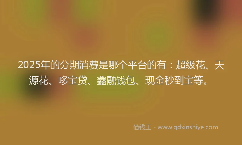 2025年的分期消费是哪个平台的有：超级花、天源花、哆宝贷、鑫融钱包、现金秒到宝等。