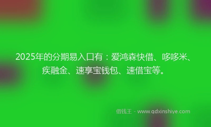 2025年的分期易入口有：爱鸿森快借、哆哆米、疾融金、速享宝钱包、速借宝等。