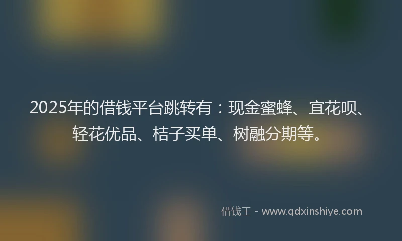 2025年的借钱平台跳转有：现金蜜蜂、宜花呗、轻花优品、桔子买单、树融分期等。
