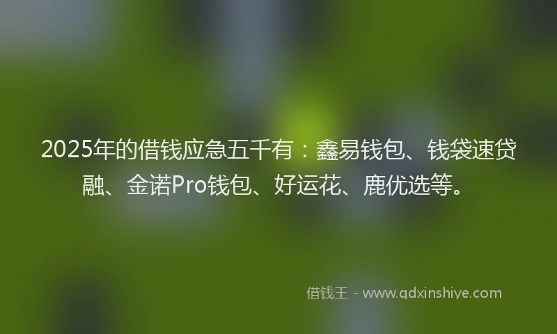 2025年的借钱应急五千有：鑫易钱包、钱袋速贷融、金诺Pro钱包、好运花、鹿优选等。