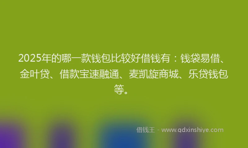 2025年的哪一款钱包比较好借钱有：钱袋易借、金叶贷、借款宝速融通、麦凯旋商城、乐贷钱包等。