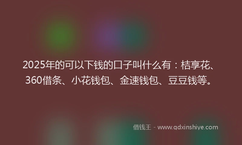 2025年的可以下钱的口子叫什么有：桔享花、360借条、小花钱包、金速钱包、豆豆钱等。