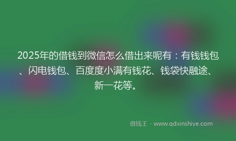2025年的借钱到微信怎么借出来呢有：有钱钱包、闪电钱包、百度度小满有钱花、钱袋快融途、新一花等。