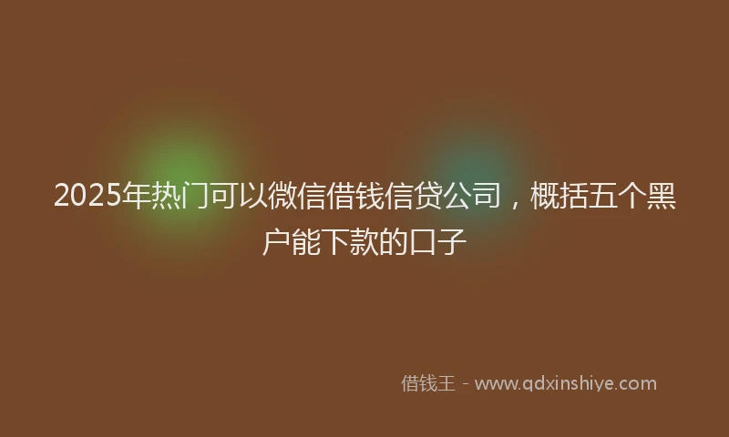 2025年热门可以微信借钱信贷公司，概括五个黑户能下款的口子