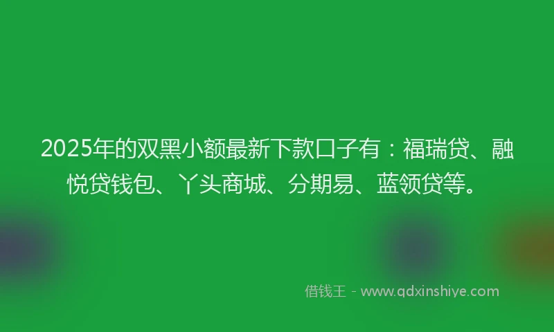 2025年的双黑小额最新下款口子有：福瑞贷、融悦贷钱包、丫头商城、分期易、蓝领贷等。