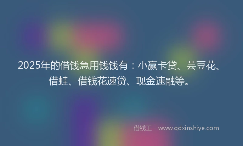 2025年的借钱急用钱钱有：小赢卡贷、芸豆花、借蛙、借钱花速贷、现金速融等。
