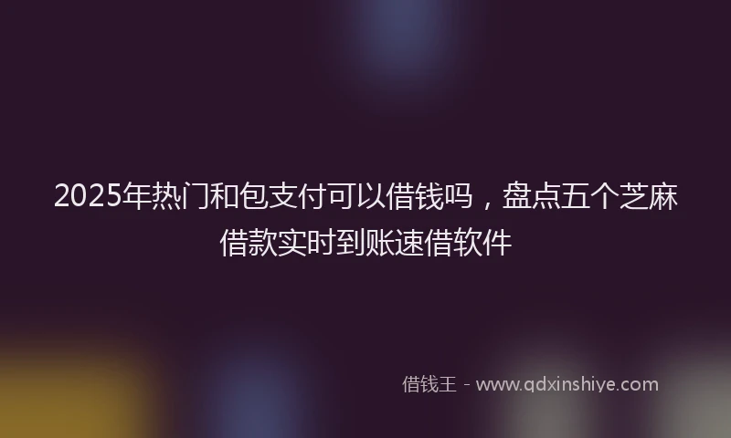 2025年热门和包支付可以借钱吗，盘点五个芝麻借款实时到账速借软件