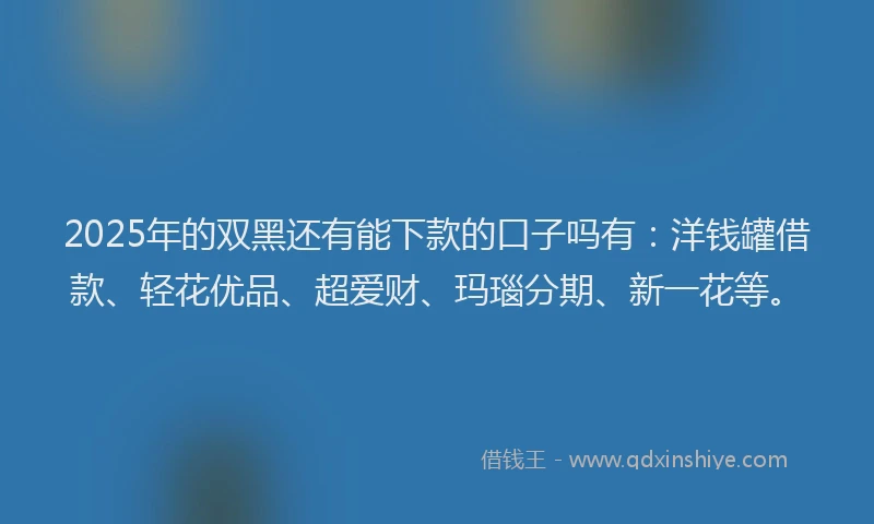 2025年的双黑还有能下款的口子吗有：洋钱罐借款、轻花优品、超爱财、玛瑙分期、新一花等。
