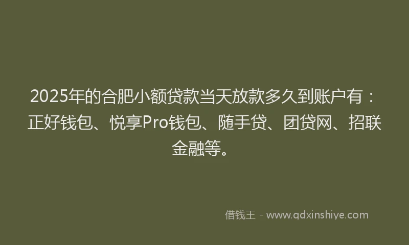 2025年的合肥小额贷款当天放款多久到账户有：正好钱包、悦享Pro钱包、随手贷、团贷网、招联金融等。