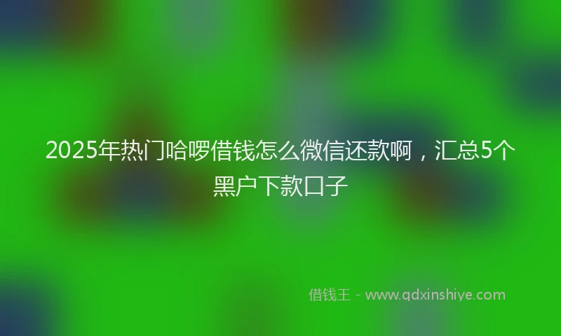 2025年热门哈啰借钱怎么微信还款啊，汇总5个黑户下款口子
