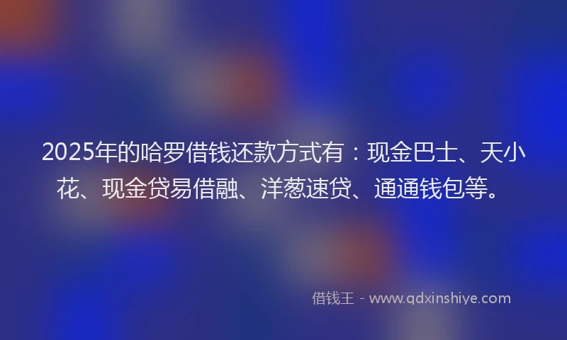 2025年的哈罗借钱还款方式有：现金巴士、天小花、现金贷易借融、洋葱速贷、通通钱包等。