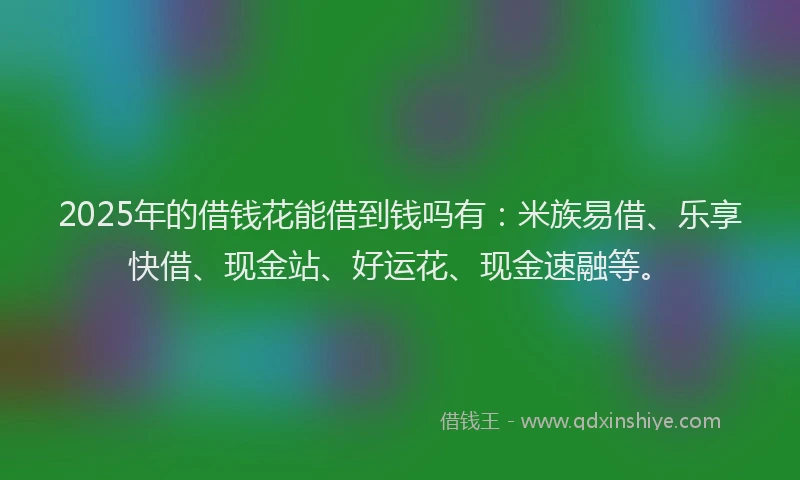 2025年的借钱花能借到钱吗有：米族易借、乐享快借、现金站、好运花、现金速融等。