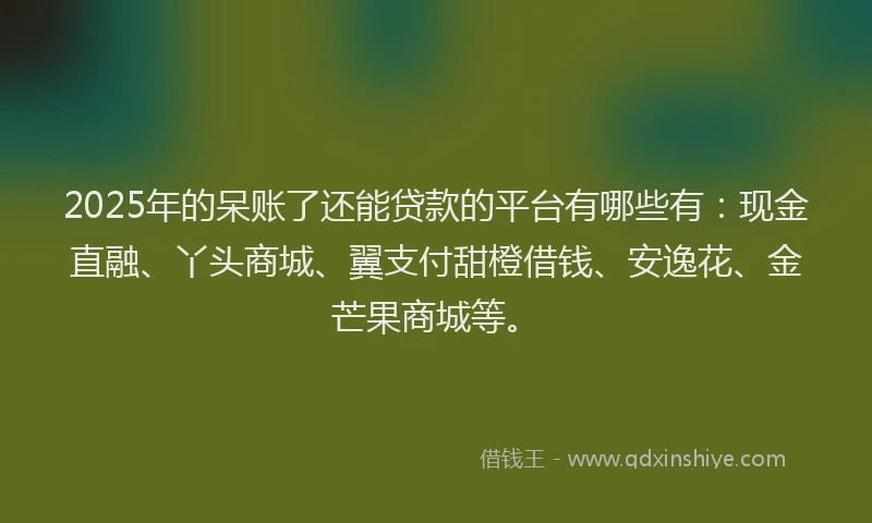 2025年的呆账了还能贷款的平台有哪些有：现金直融、丫头商城、翼支付甜橙借钱、安逸花、金芒果商城等。
