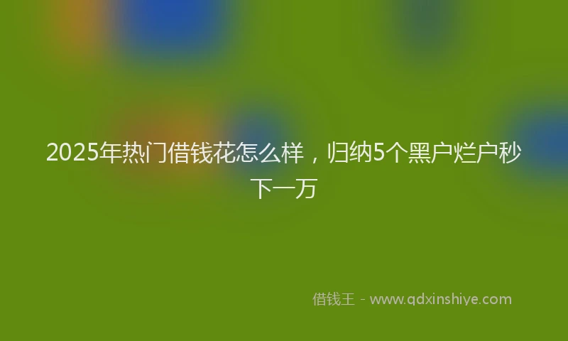 2025年热门借钱花怎么样，归纳5个黑户烂户秒下一万