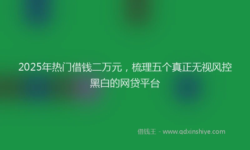 2025年热门借钱二万元，梳理五个真正无视风控黑白的网贷平台