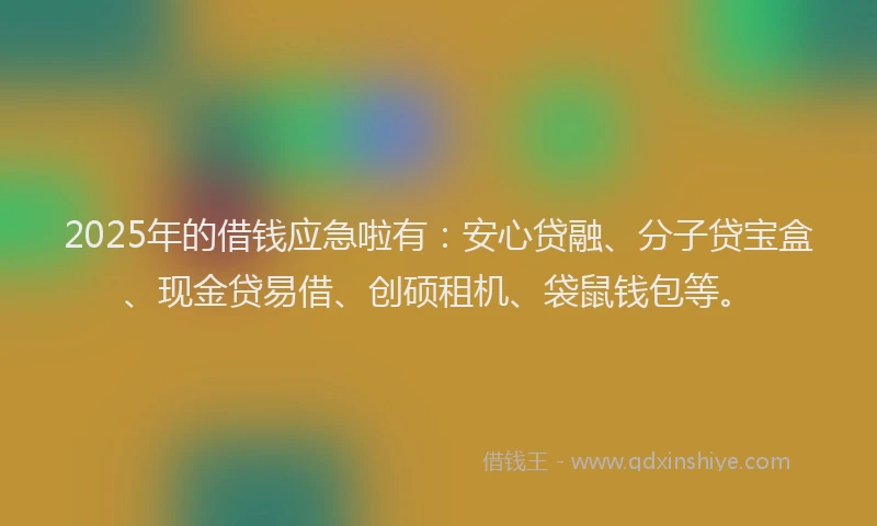 2025年的借钱应急啦有：安心贷融、分子贷宝盒、现金贷易借、创硕租机、袋鼠钱包等。