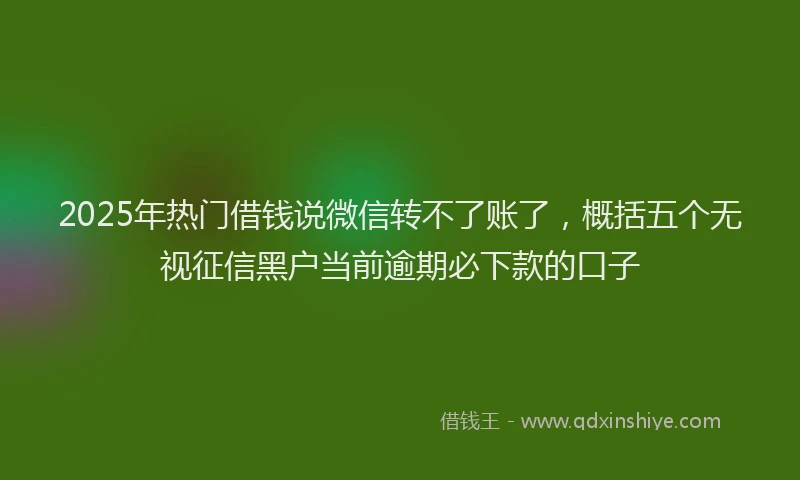 2025年热门借钱说微信转不了账了，概括五个无视征信黑户当前逾期必下款的口子