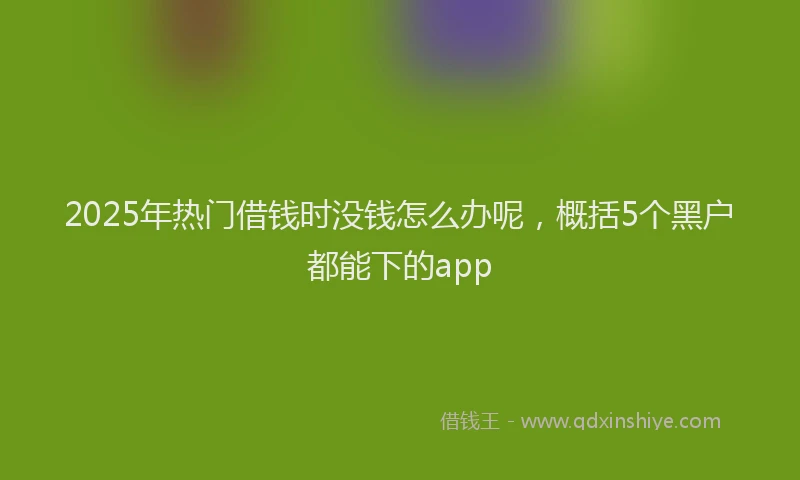2025年热门借钱时没钱怎么办呢，概括5个黑户都能下的app