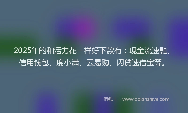 2025年的和活力花一样好下款有：现金流速融、信用钱包、度小满、云易购、闪贷速借宝等。