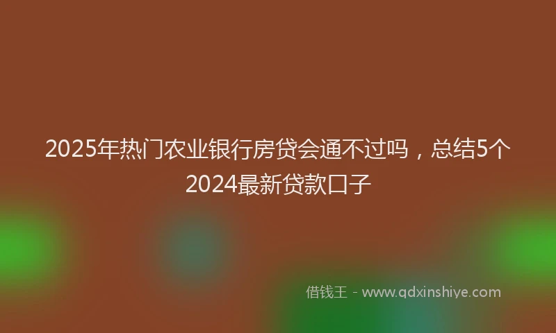 2025年热门农业银行房贷会通不过吗，总结5个2024最新贷款口子