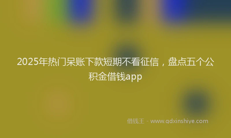 2025年热门呆账下款短期不看征信，盘点五个公积金借钱app