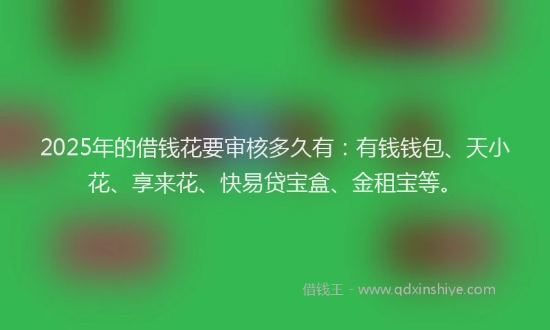 2025年的借钱花要审核多久有：有钱钱包、天小花、享来花、快易贷宝盒、金租宝等。