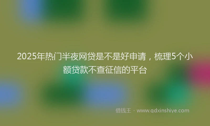 2025年热门半夜网贷是不是好申请，梳理5个小额贷款不查征信的平台