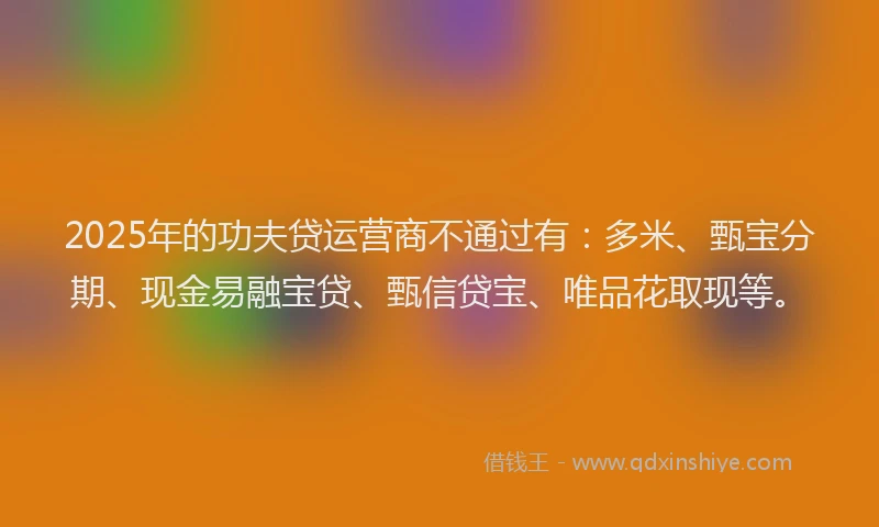 2025年的功夫贷运营商不通过有：多米、甄宝分期、现金易融宝贷、甄信贷宝、唯品花取现等。