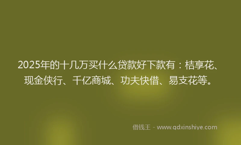 2025年的十几万买什么贷款好下款有：桔享花、现金侠行、千亿商城、功夫快借、易支花等。