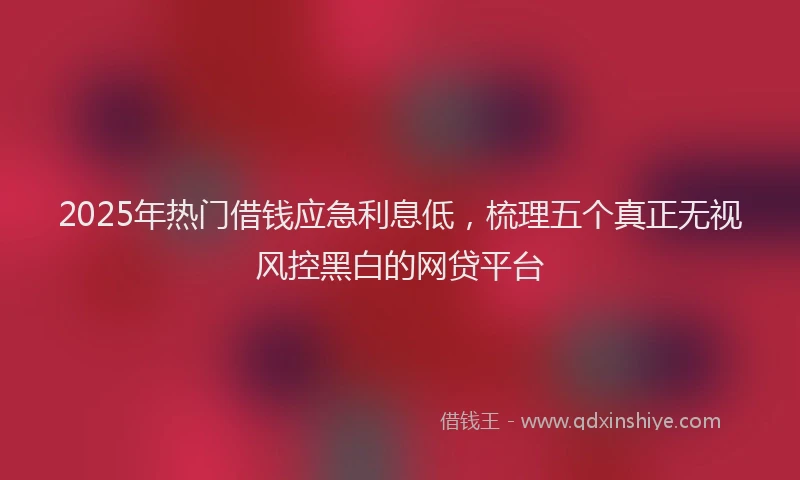 2025年热门借钱应急利息低，梳理五个真正无视风控黑白的网贷平台