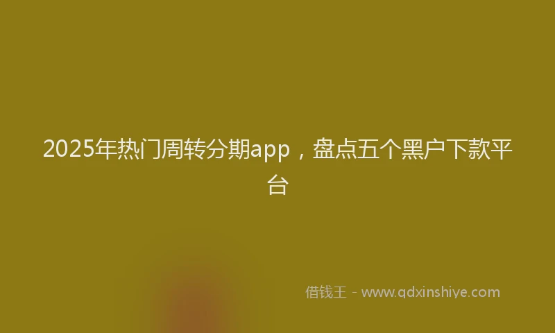 2025年热门周转分期app，盘点五个黑户下款平台