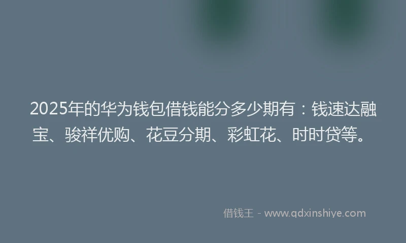 2025年的华为钱包借钱能分多少期有：钱速达融宝、骏祥优购、花豆分期、彩虹花、时时贷等。